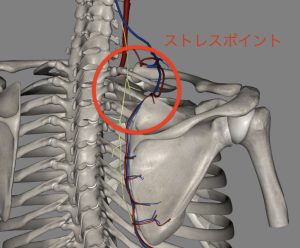ストレスポイント